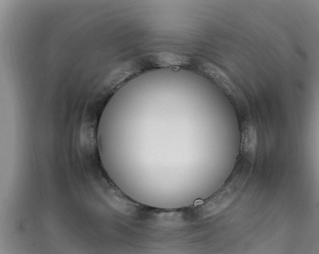 X0000111600426200907231240