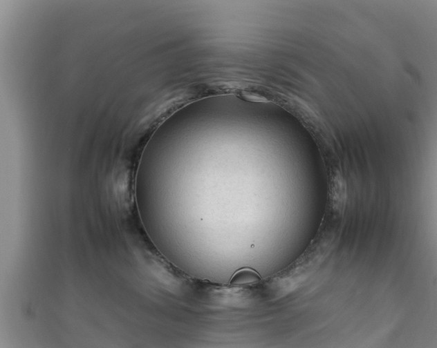 X0000111600428200907231240