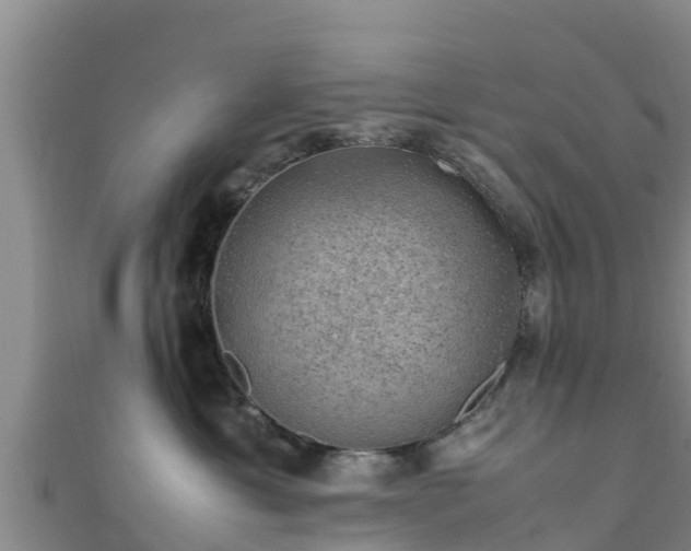 X0000111600429200907231240