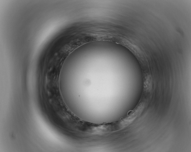 X0000111600430200907231240
