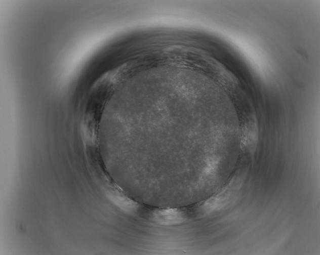 X0000111600431200907231240