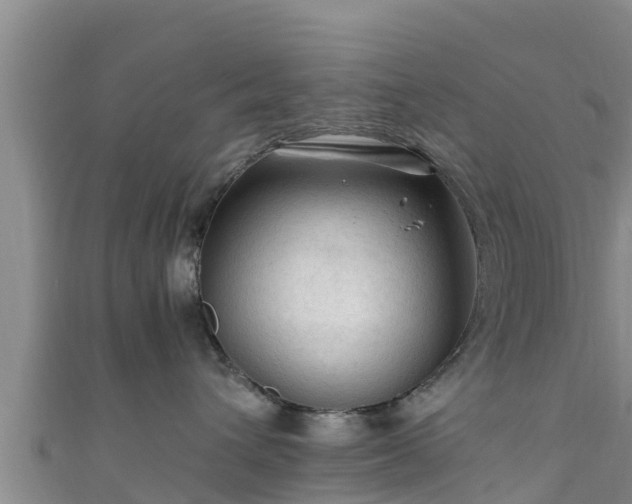 X0000111600432200907231240