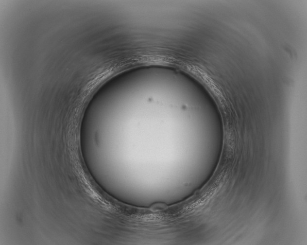 X0000111600433200907231239
