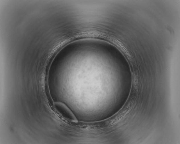 X0000111600434200907231239