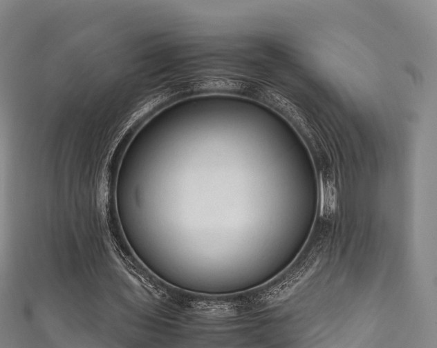 X0000111600435200907231239