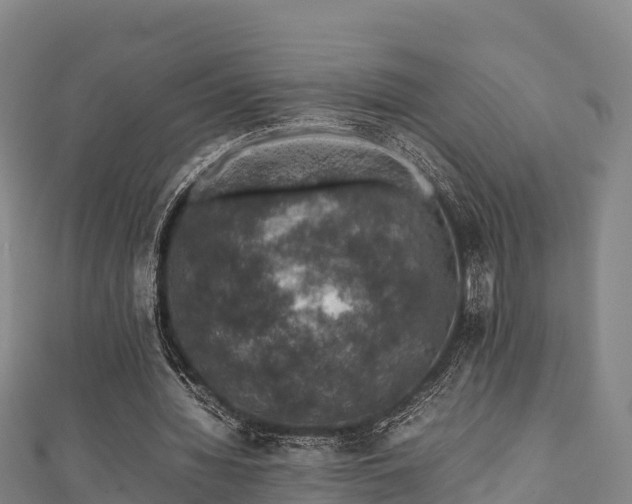 X0000111600436200907231239