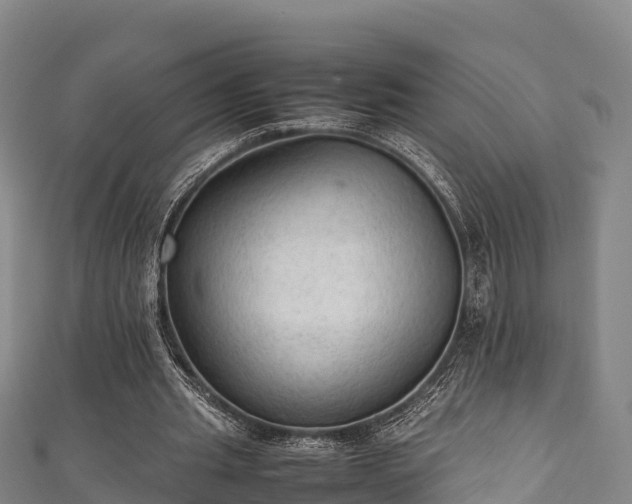 X0000111600437200907231239