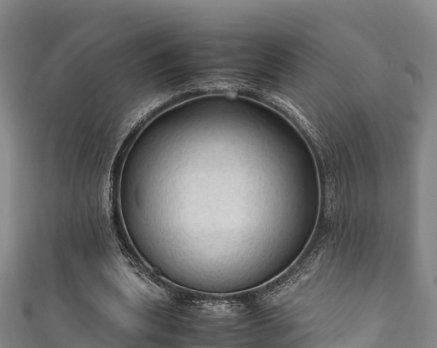 X0000111600439200907231239