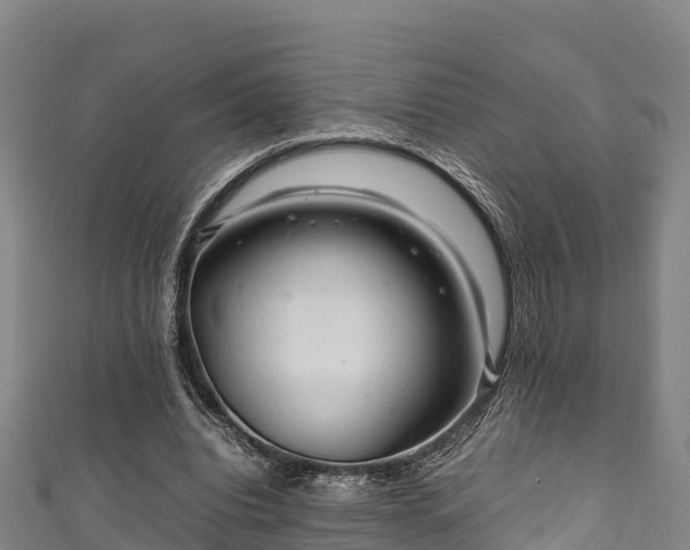 X0000111600440200907231239