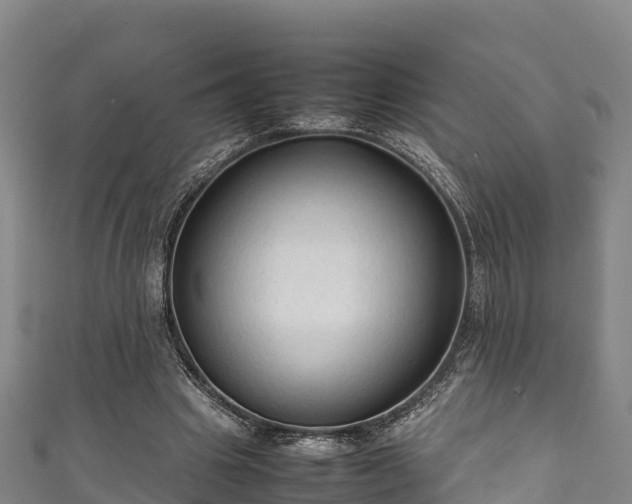 X0000111600441200907231239