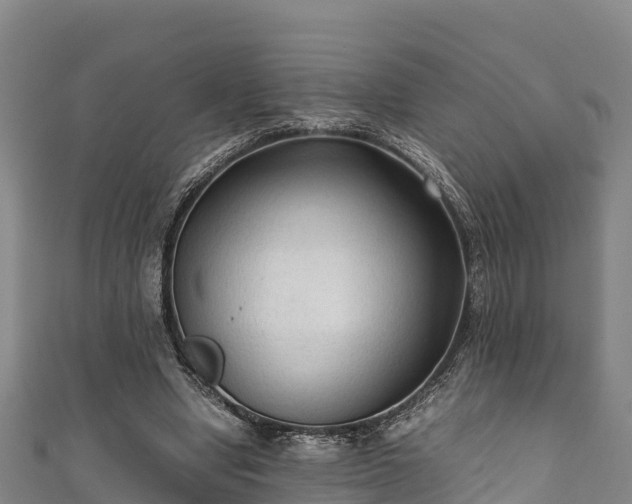 X0000111600442200907231239