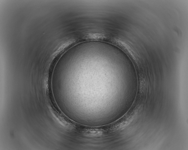 X0000111600443200907231239