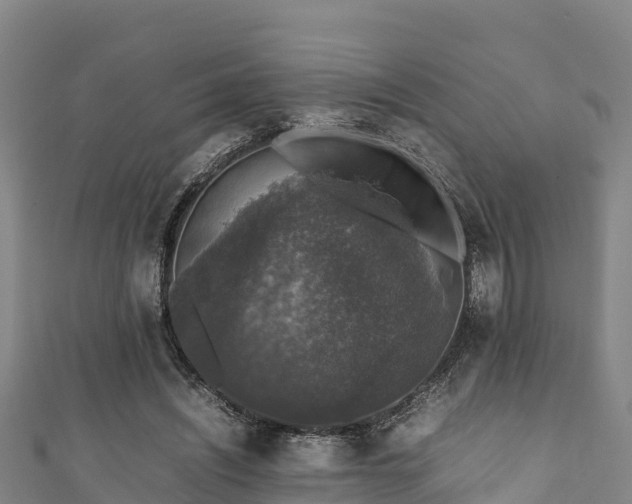 X0000111600444200907231239