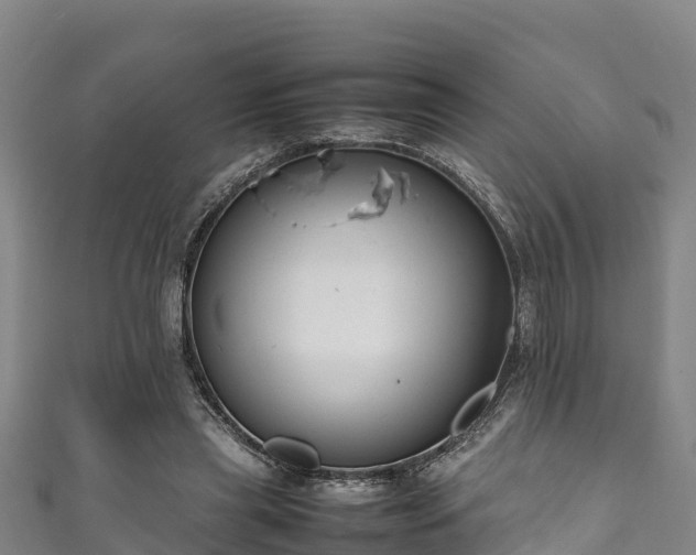 X0000111600445200907231239