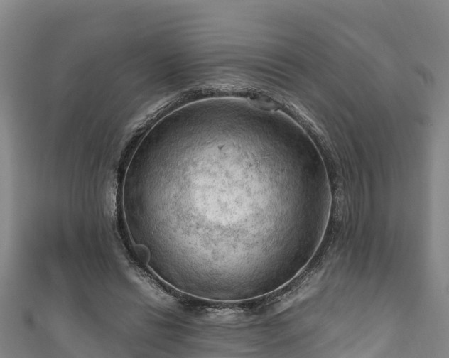 X0000111600446200907231239