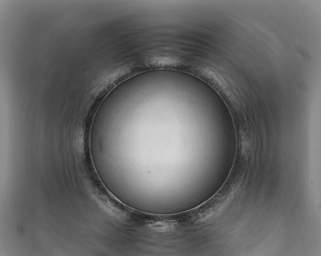 X0000111600447200907231239