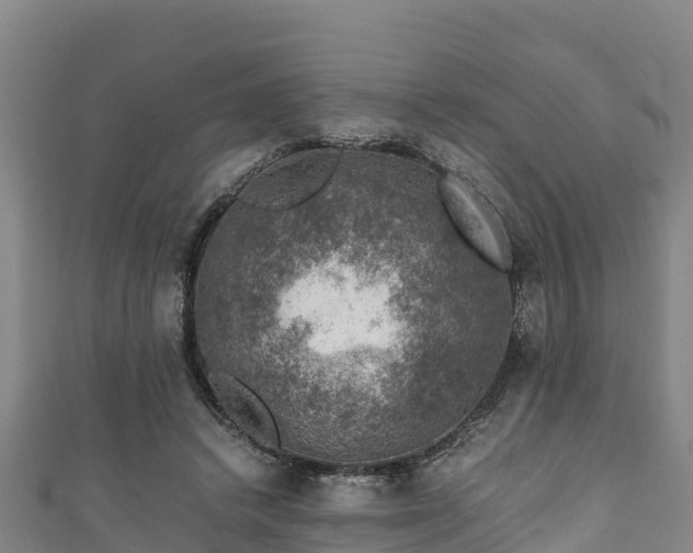 X0000111600448200907231239