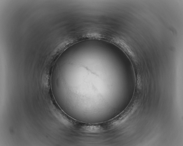 X0000111600449200907231239