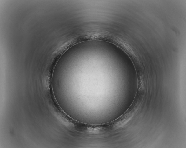 X0000111600450200907231239