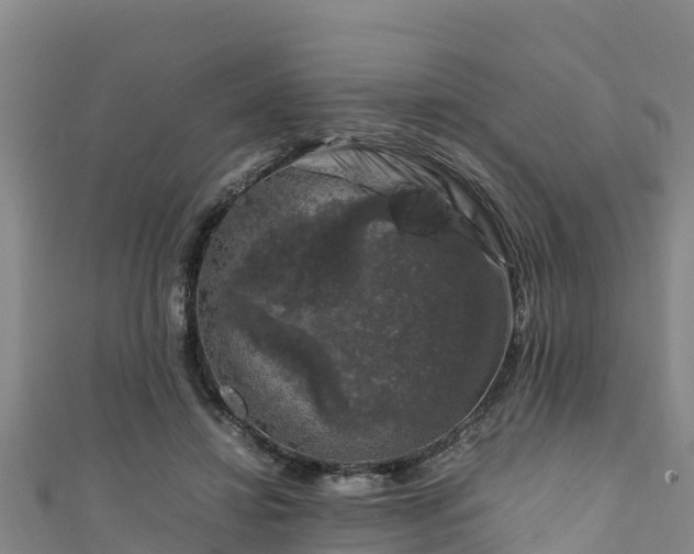 X0000111600452200907231239