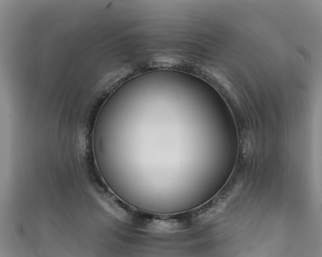 X0000111600455200907231239