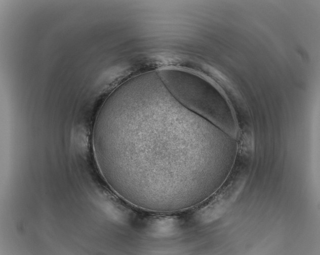 X0000111600456200907231239