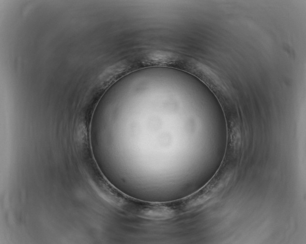 X0000111600459200907231239