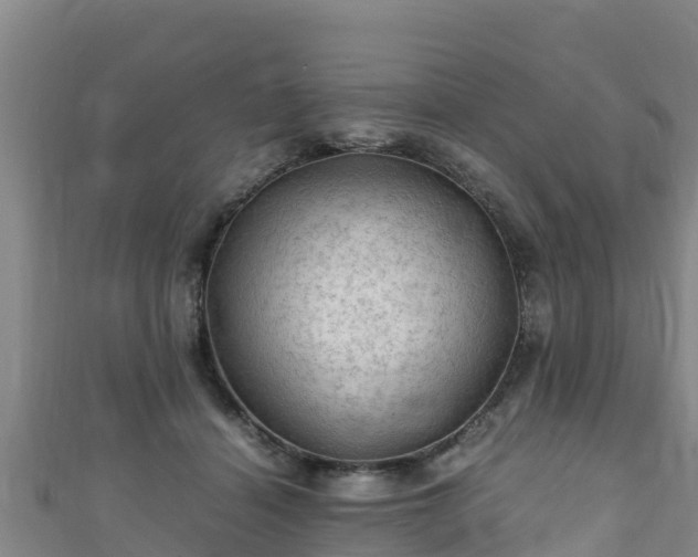 X0000111600460200907231239