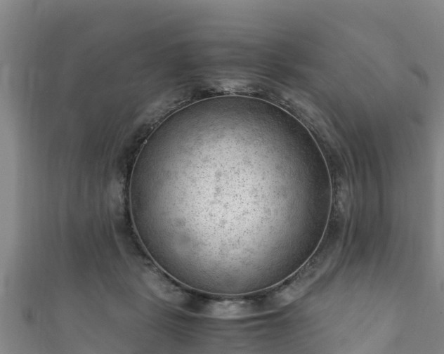 X0000111600461200907231239