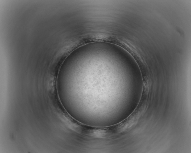 X0000111600462200907231239