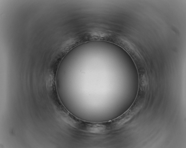 X0000111600463200907231239