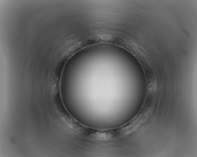X0000111600464200907231239