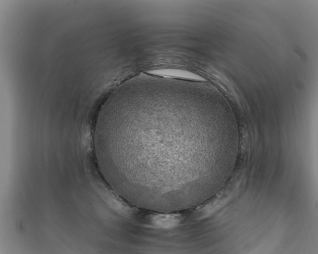 X0000111600465200907231239