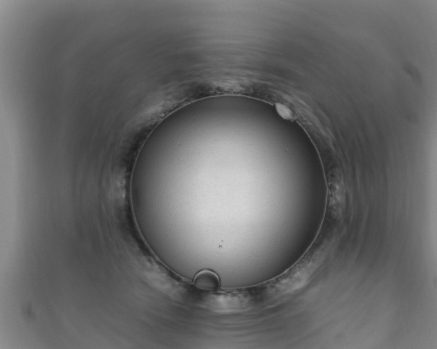 X0000111600466200907231239