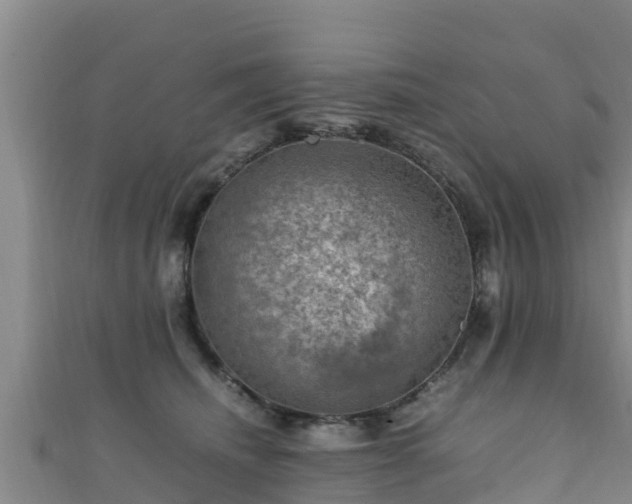 X0000111600468200907231239