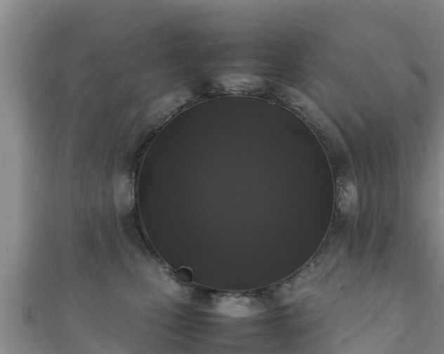 X0000111600471200907231239