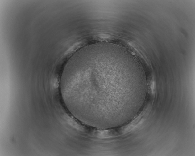 X0000111600472200907231239