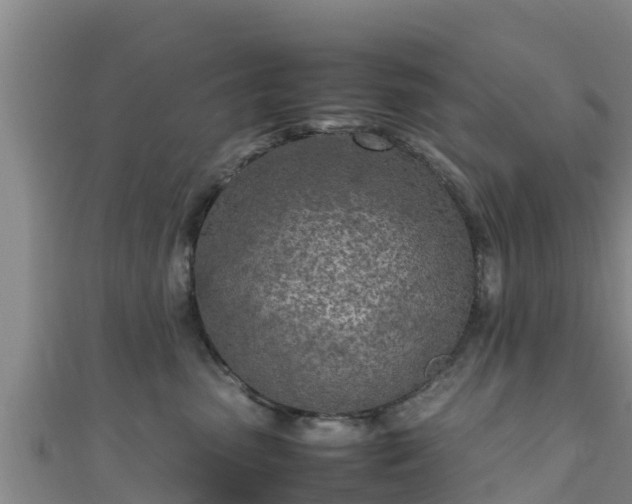 X0000111600475200907231239