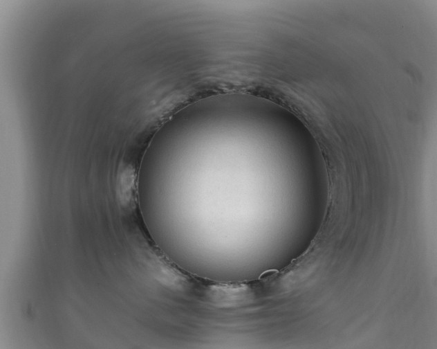 X0000111600480200907231239