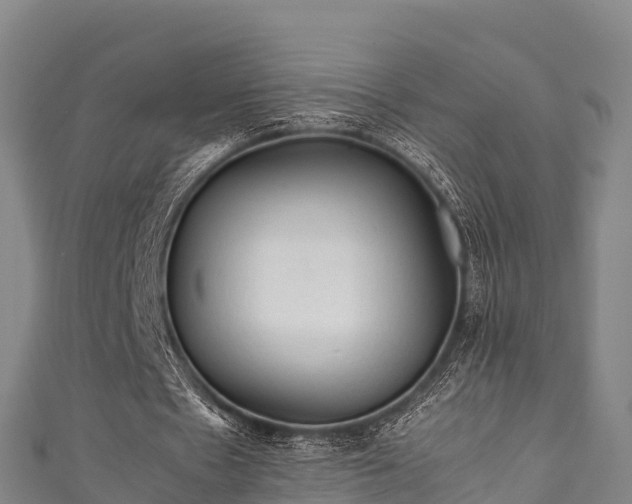 X0000111600481200907231239