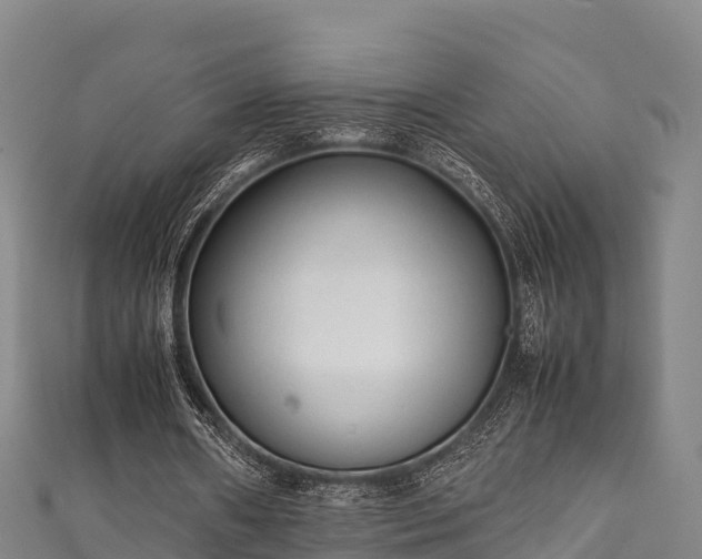 X0000111600482200907231239
