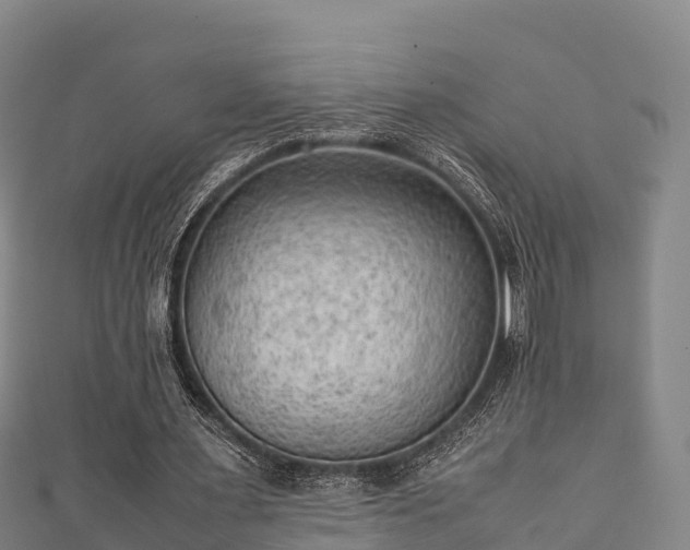 X0000111600483200907231239