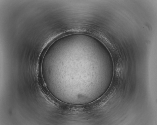 X0000111600484200907231239