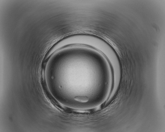 X0000111600485200907231239