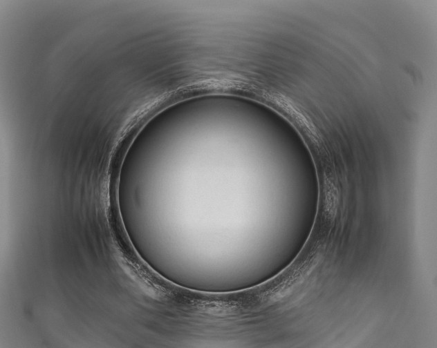 X0000111600486200907231239
