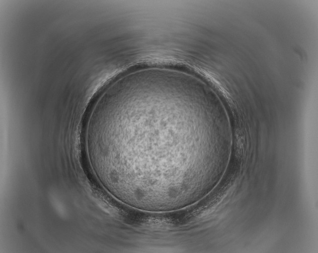 X0000111600487200907231239
