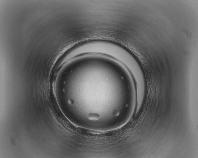 X0000111600488200907231239