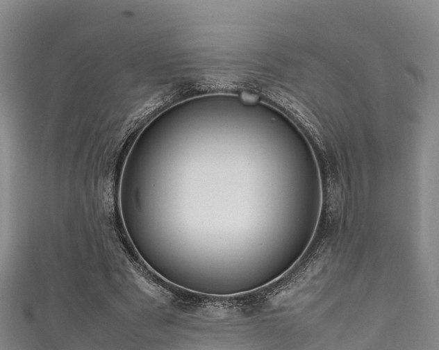 X0000111600489200907231239