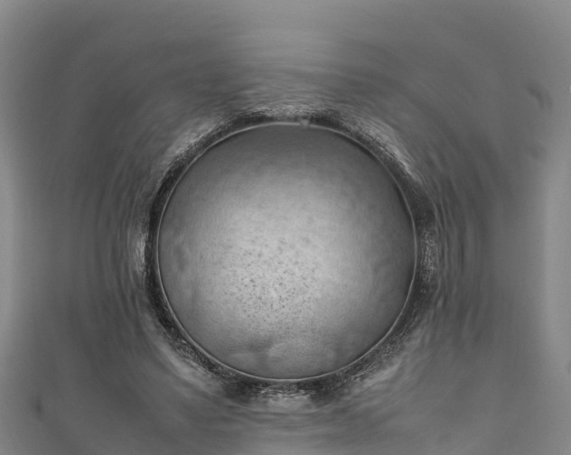 X0000111600491200907231239
