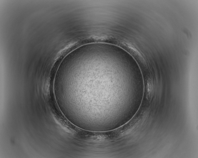 X0000111600492200907231239